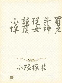 小说从斗罗开始俘获女神免费阅读