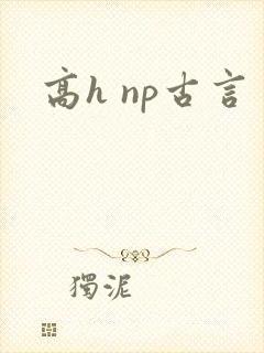 高h np古言