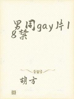 男同gay片18禁封面