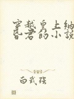 穿越皇上纳妃当昏君的小说