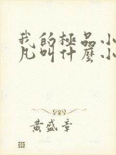 我的极品小姨叶凡叫什么小说