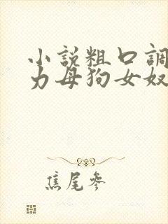 小说粗口调教暴力母狗女奴