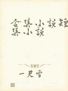 合集小说短篇合集小说