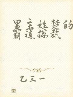 男主姓楚的小说霸道总裁