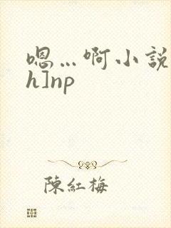 嗯…啊小说[高h]np