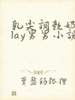 乳尖调教奶头play男男小说