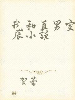 我和直男室友张辰小说