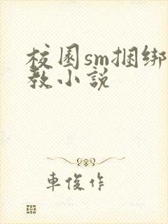 校园sm捆绑调教小说封面