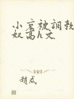 小哀被调教成肉奴高h文