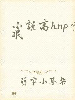 小说高hnp催眠