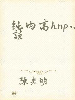 纯肉高hnp小说