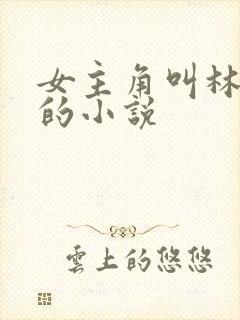 女主角叫林婉婉的小说