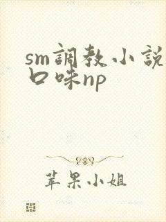 sm调教小说重口味np