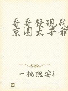 哥哥发现我爱慕京圈太子爷后小说