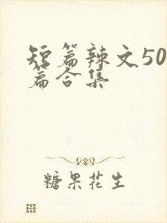 短篇辣文500篇合集