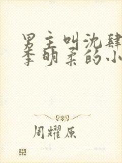 男主叫沈肆女二李明柔的小说封面