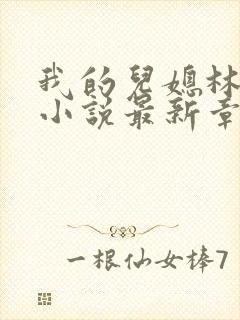 我的儿媳林曼曼小说最新章节更新时