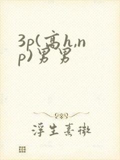3p(高h,np)男男