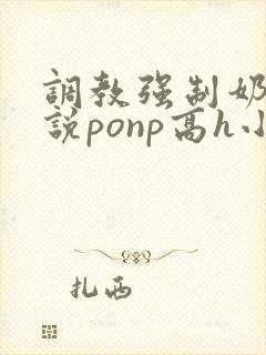 调教强制奶子小说ponp高h小说