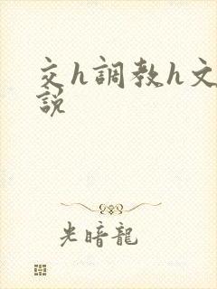 交h调教h文小说封面