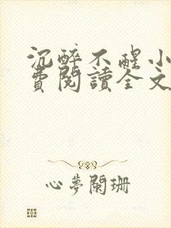 沉醉不醒小说免费阅读全文无弹窗