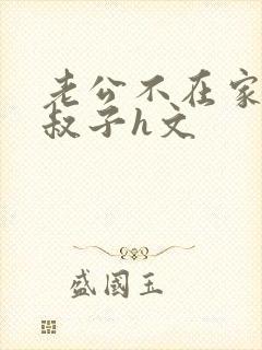 老公不在家和小叔子h文封面