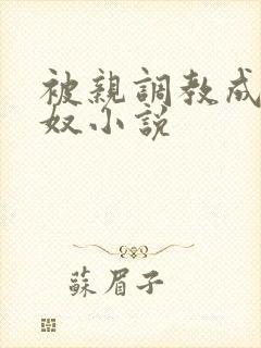 被亲调教成她的奴小说