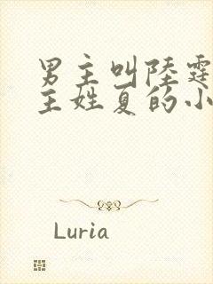 男主叫陆霆琛女主姓夏的小说