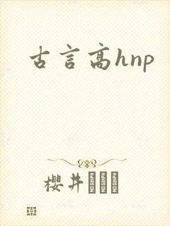 古言高hnp