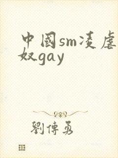 中国sm凌虐男奴gay封面