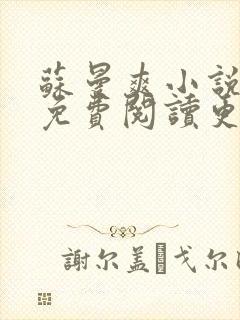 苏曼爽小说全文免费阅读更新时间封面