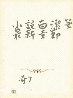 小说白洁笔趣阁最新章节