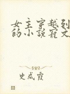 女主穿越到古代的小说宠文