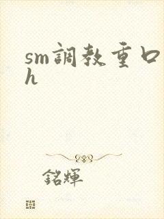 sm调教重口高h