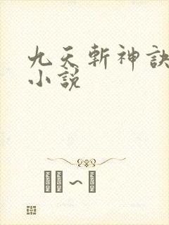 九天斩神诀林辰小说