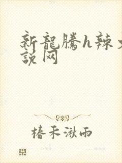 新龙腾h辣文小说网