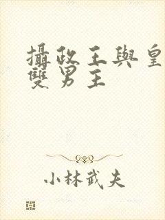 摄政王与皇上的双男主