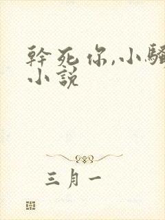 干死你,小骚货小说封面