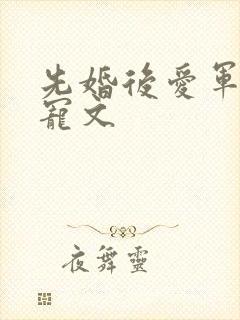 先婚后爱军婚甜宠文