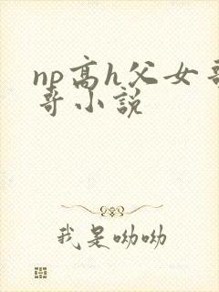 np高h父女哥哥小说