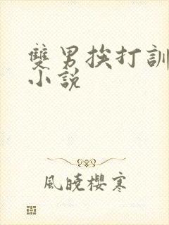 双男挨打训诫文小说