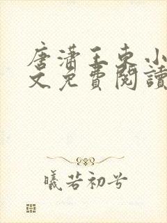 唐潇王东小说全文免费阅读