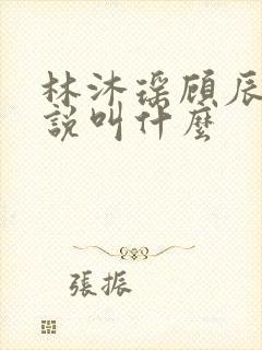 林沐瑶顾辰的小说叫什么