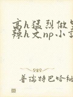 高h猛烈做哭高辣h文np小说