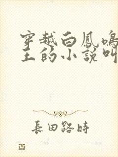 穿越白凤鸣摄政王的小说叫什么封面