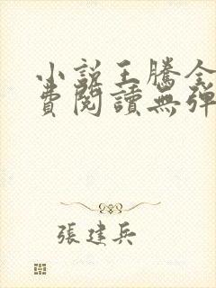 小说王腾全文免费阅读无弹窗