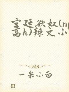 宫廷欲奴(np高h)辣文小说