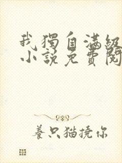 我独自满级新手小说免费阅读