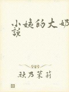 小姨的大奶子小说