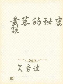 黄蓉的秘密h小说